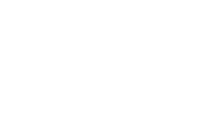 e-fiscal